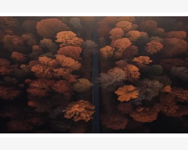 B2B客户自有模具保养责任写入合同哪个位置