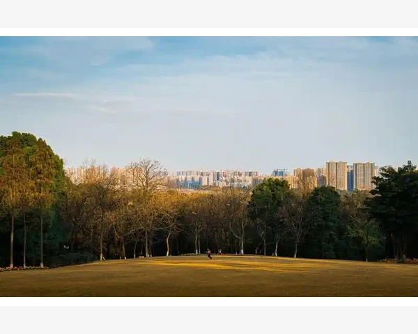 中医脾胃：守护你人体健康的铁壁