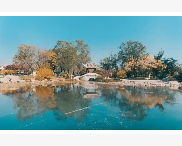 珍珠末：探讨其化痰功能